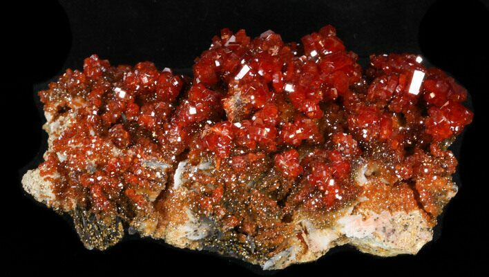 Brilliant Vanadinite Crystal Cluster - Morocco #36992